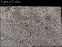 BIANCO ANTICO CALL 0422 104 588 ABOUT THIS MATERIAL